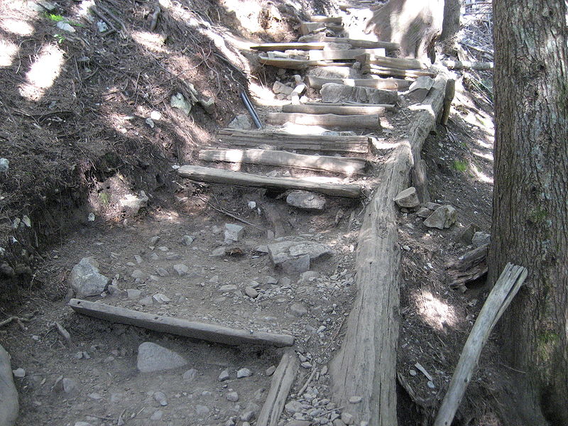 Grouse Mountain